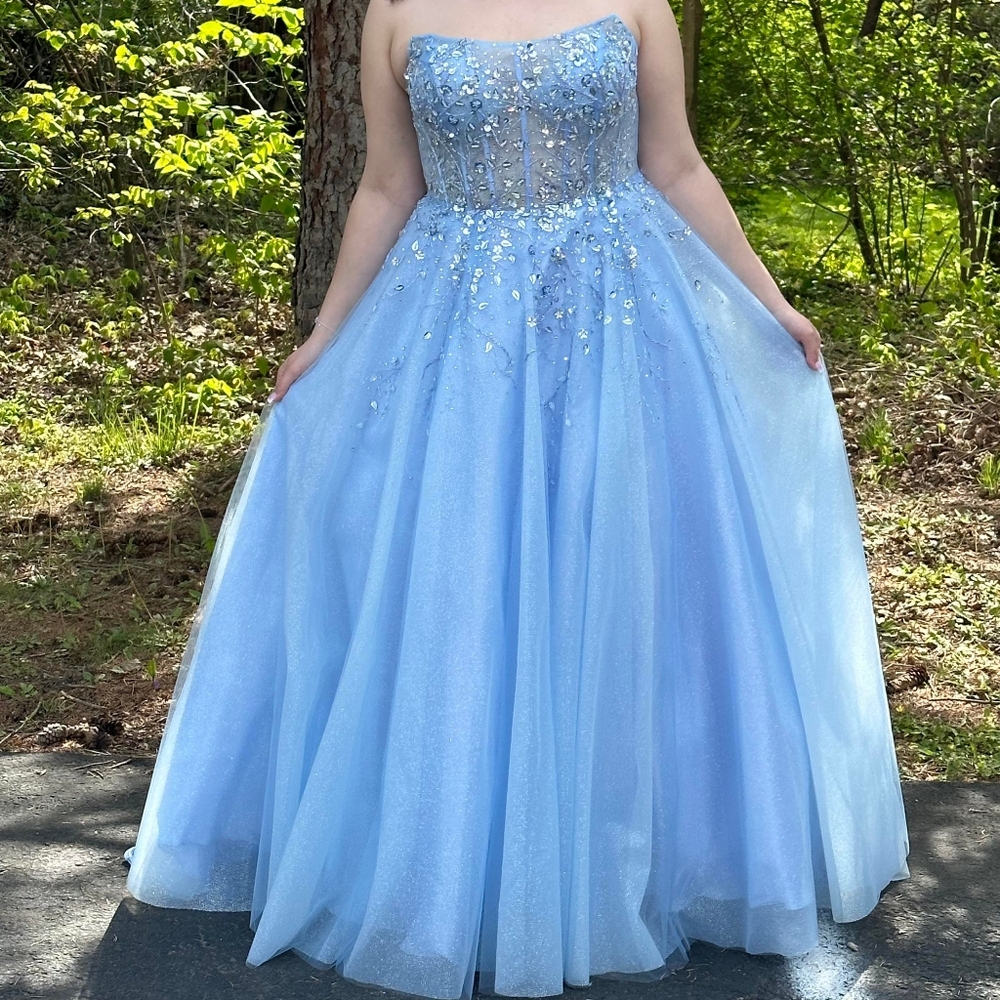 Clarisse Gown Size 14 winter blue